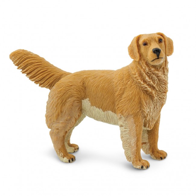 Figurka Safari Ltd. - Pies Golden Retriever