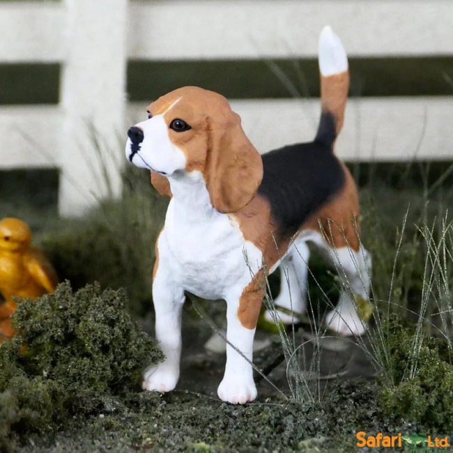 Figurka Safari Ltd. - Pies Beagle