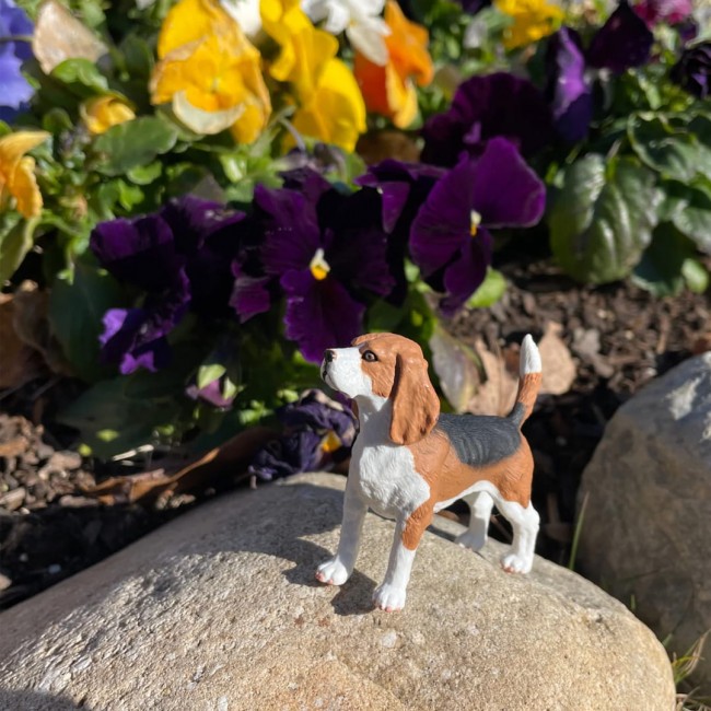 Figurka Safari Ltd. - Pies Beagle