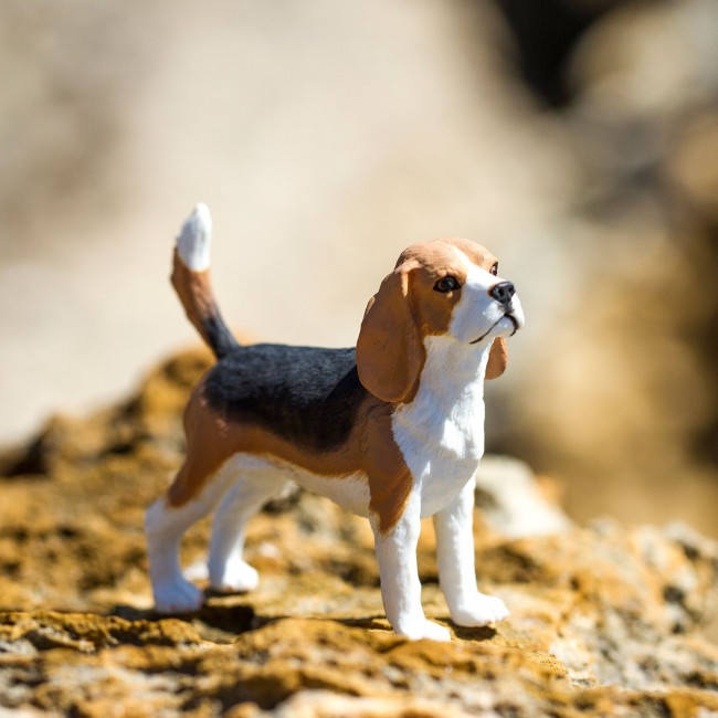 Figurka Safari Ltd. - Pies Beagle