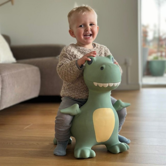 Skoczek Find that Hippo - Dinozaur
