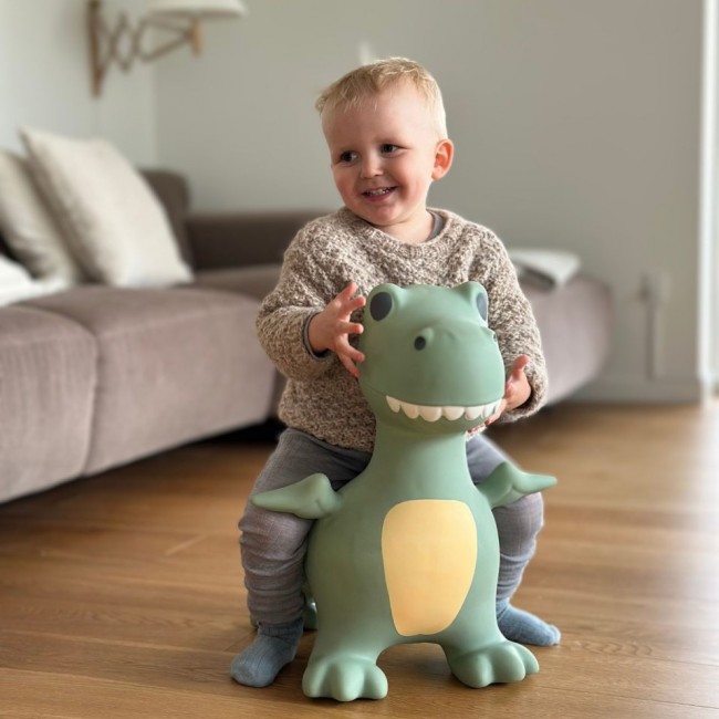 Skoczek Find that Hippo - Dinozaur