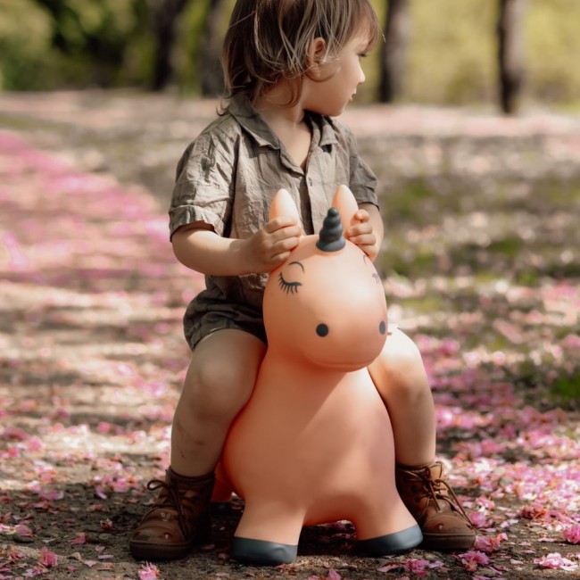 Skoczek Find that Hippo - Jednorożec