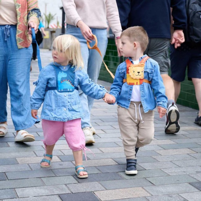 Szelki bezpieczeństwa LittleLife - Lew
