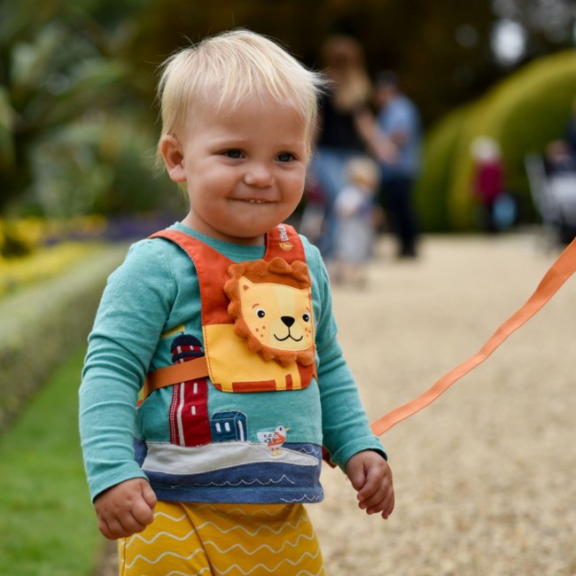 Szelki bezpieczeństwa LittleLife - Lew