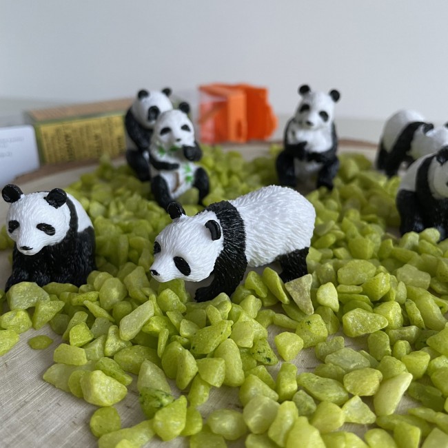 Zestaw Figurek w Tubie TOOB Safari Ltd. - Pandy