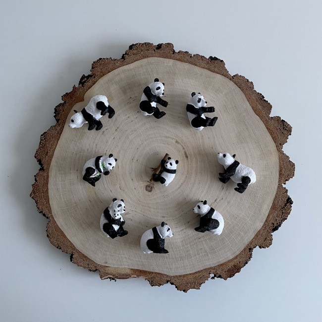 Zestaw Figurek w Tubie TOOB Safari Ltd. - Pandy