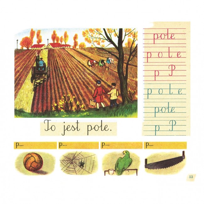 Książka "Elementarz M. Falski" WSiP