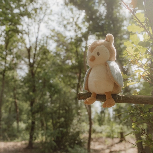 Przytulanka Sówka Little Dutch - Forest Friends