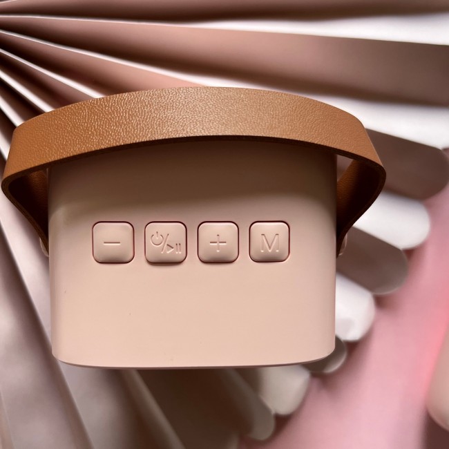 Bezprzewodowy zestaw do karaoke Lalarma - Rose