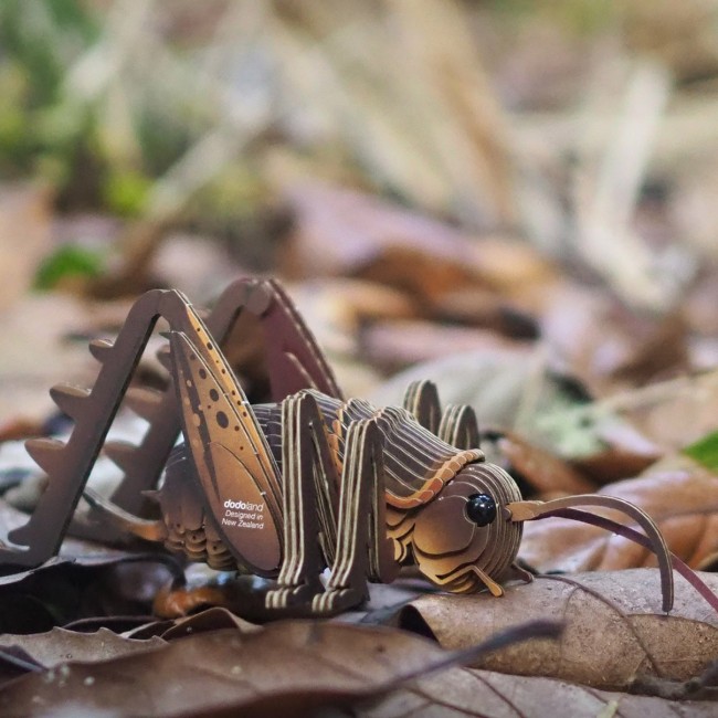 Eko Układanka 3D Eugy - Weta Olbrzymia