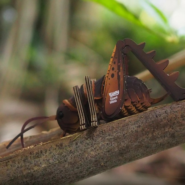 Eko Układanka 3D Eugy - Weta Olbrzymia