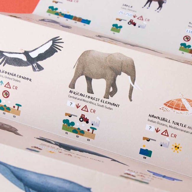 Puzzle Life Londji - Zagrożone gatunki zwierząt 200 el.
