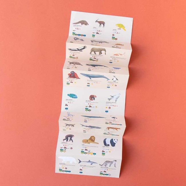 Puzzle Life Londji - Zagrożone gatunki zwierząt 200 el.