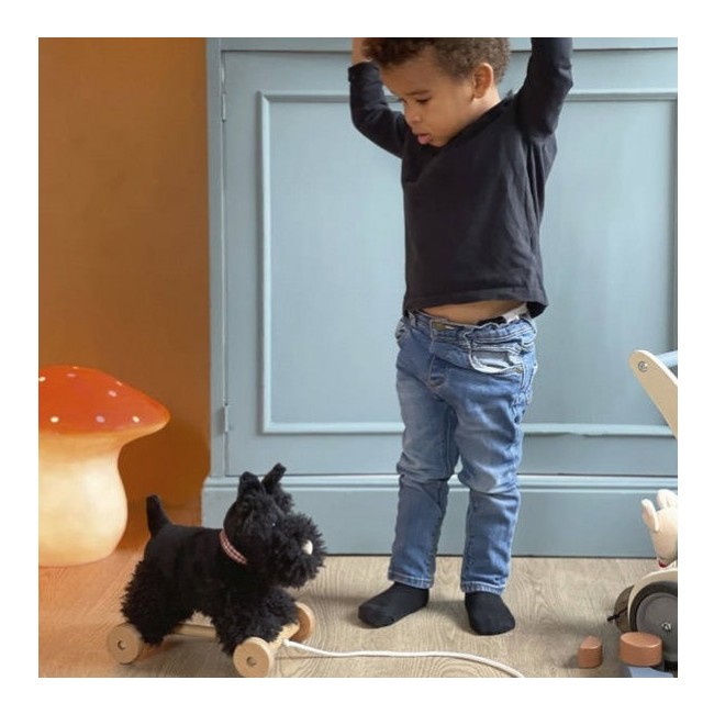 Pluszowy piesek Walter do ciągnięcia Egmont Toys
