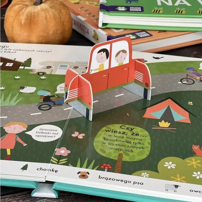 Książka "Złóż figurki. Pojazdy" wydawnictwo Zielona Sowa