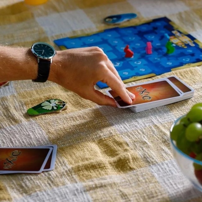 Gra planszowa Rebel - Dixit