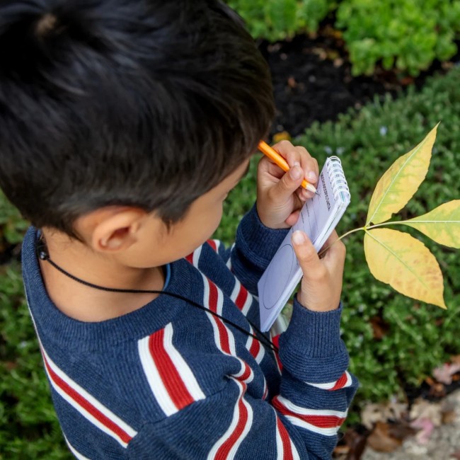 Zestaw Małego Odkrywcy Tiger Tribe - Mikroskop