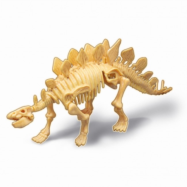 Mały paleontolog Buki - Stegozaur