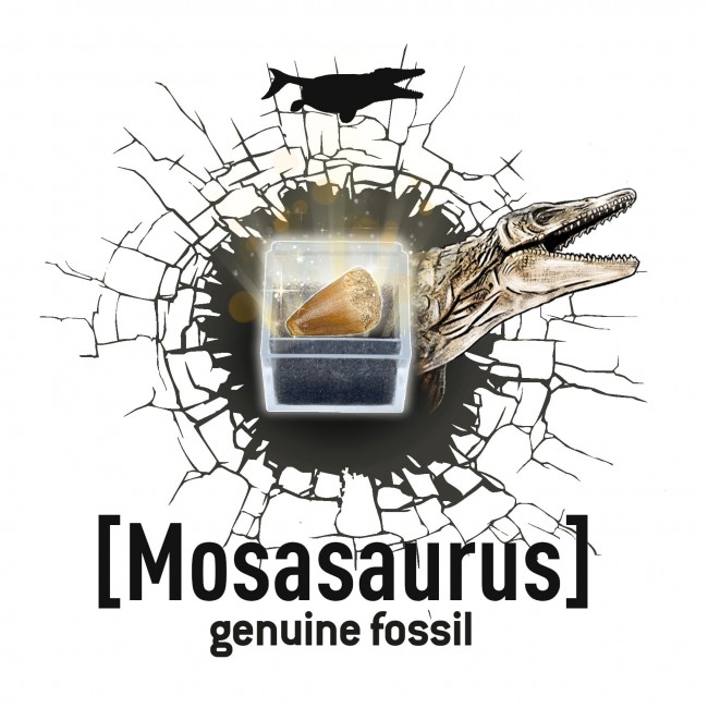 Mały paleontolog Buki - Stegozaur