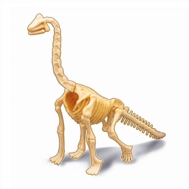 Mały paleontolog Buki - Brachiozaur