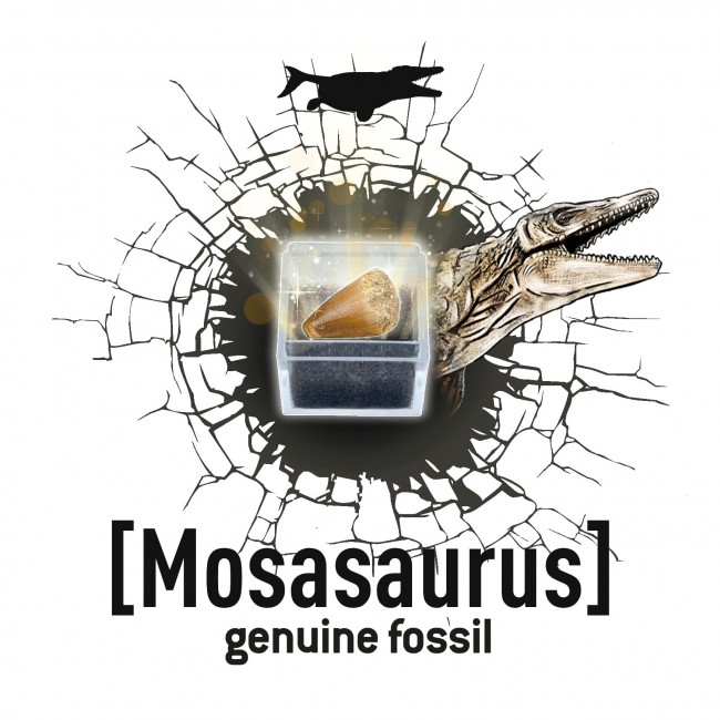 Mały paleontolog Buki - Brachiozaur