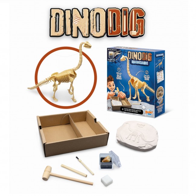 Mały paleontolog Buki - Brachiozaur