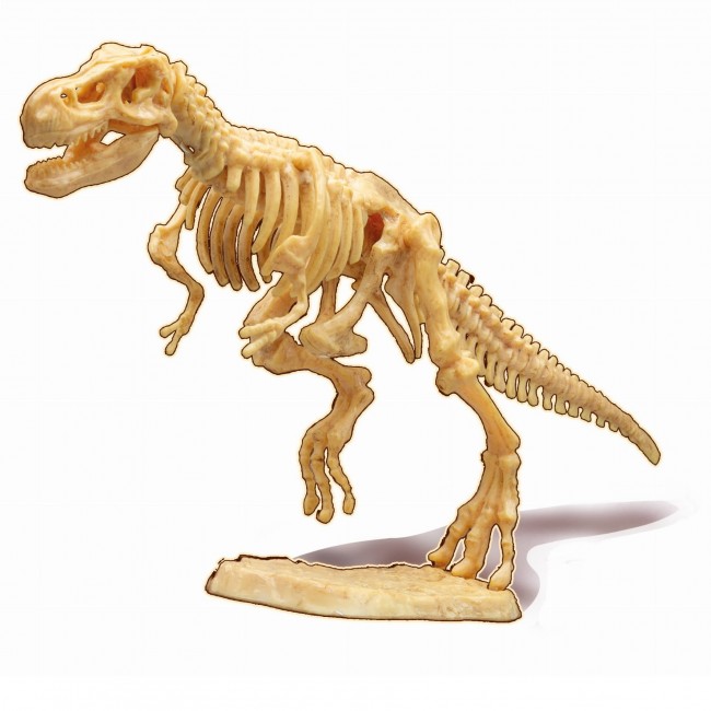 Mały paleontolog Buki - Tyranozaur