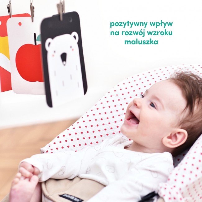 Starter Malucha CzuCzu