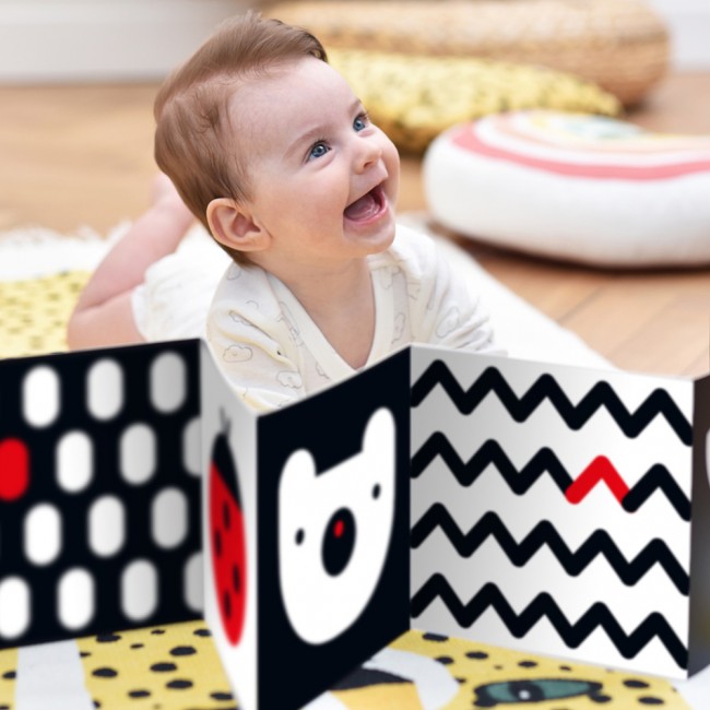 Starter Malucha CzuCzu