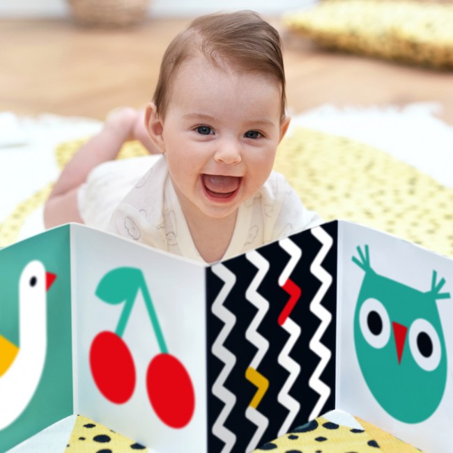 Starter Malucha CzuCzu