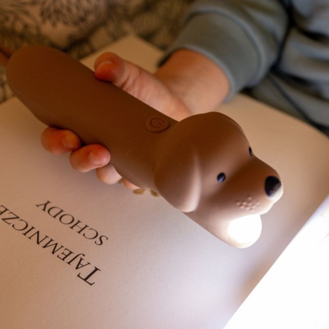 Latarka Lew Rabbit & Friends - Leo