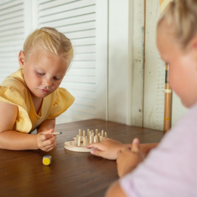 Drewniana gra pamięciowa BS Toys - Kolorowe pędzle