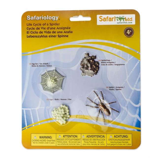 Zestaw Figurek Safariology Safari Ltd. - Cykl życia Pająka