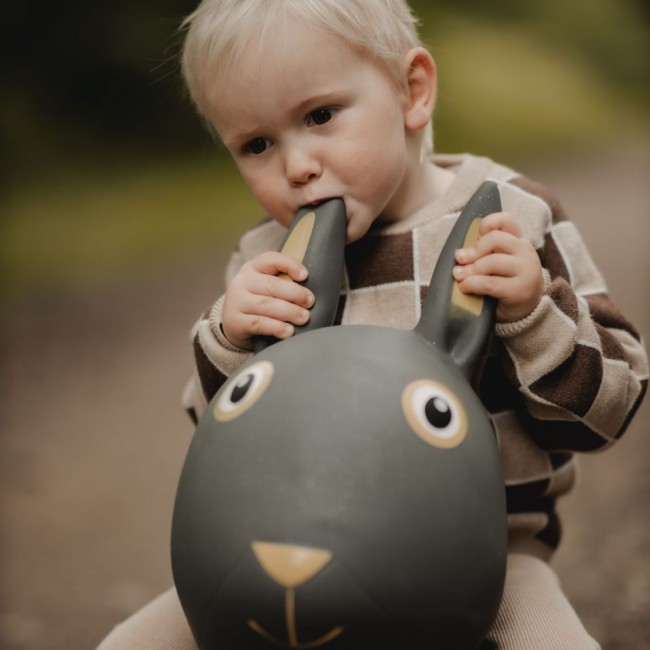 Skoczek Find that Hippo - Królik