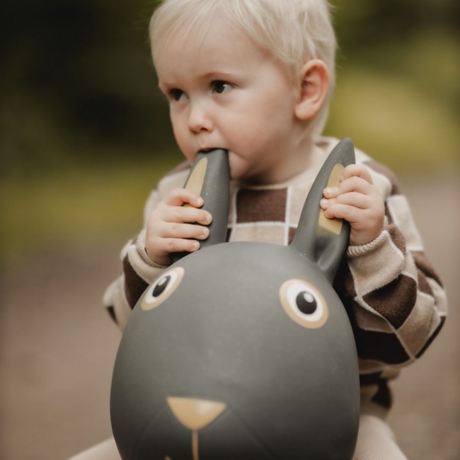 Skoczek Find that Hippo - Królik