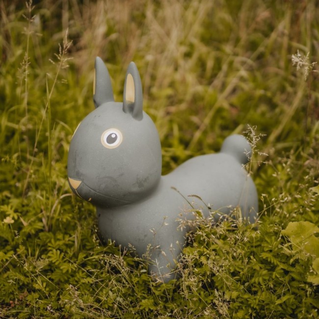 Skoczek Find that Hippo - Królik