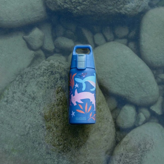 Butelka termiczna SHIELD ONE Sigg 0,5 l - Blue Word