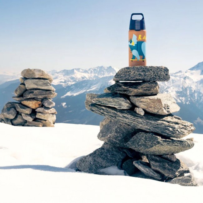 Butelka termiczna SHIELD ONE Sigg 0,5 l - Rawrsome