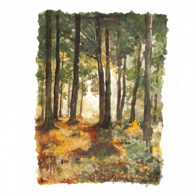 Zestaw farb z pędzelkiem Natural Earth DISCOVERY 6 szt.