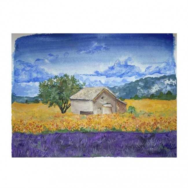 Zestaw farb z pędzelkiem Natural Earth DISCOVERY 6 szt.