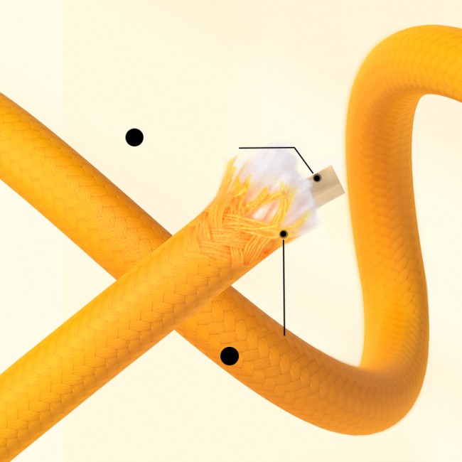 Skakanka mideer - Lisica Rossi