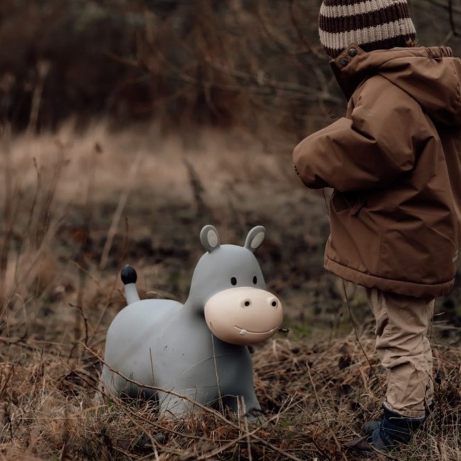 Skoczek Find that Hippo - Hipopotam