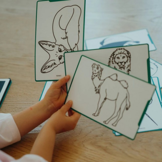 Podświetlany tablet do rysowania Kidydraw Mini Kidywolf - Zwierzęta dookoła świata