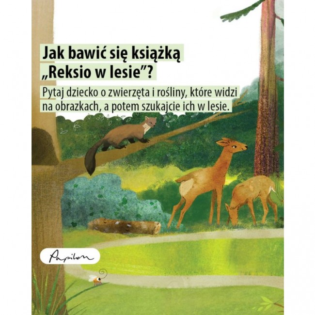 Książka "Reksio w lesie. Książka z okienkami" Wydawnictwo Papilon