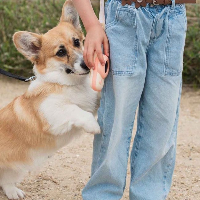 Walkie Talkie dla dzieci The Zoofamily - Dinozaur różowy