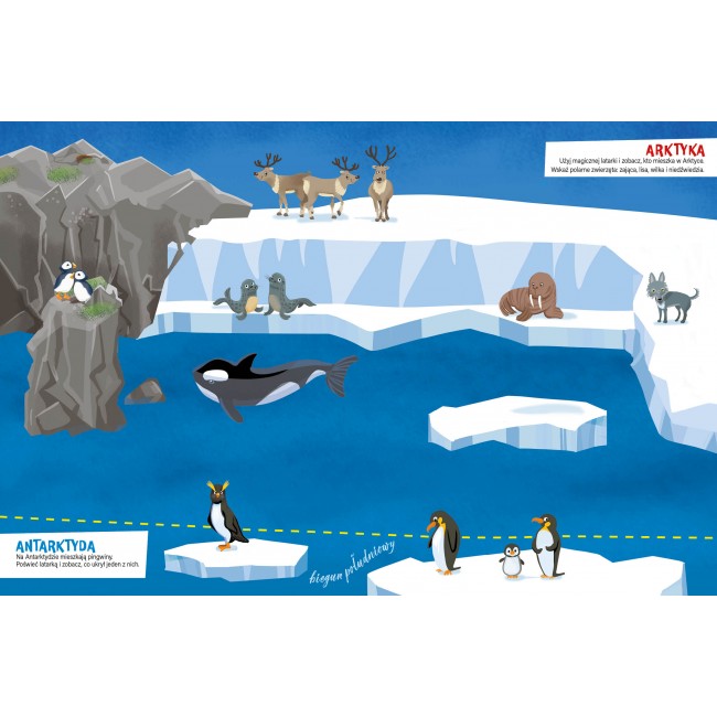 Książka "Odkrywaj świat z magiczną latarką" Wydawnictwo Jedność