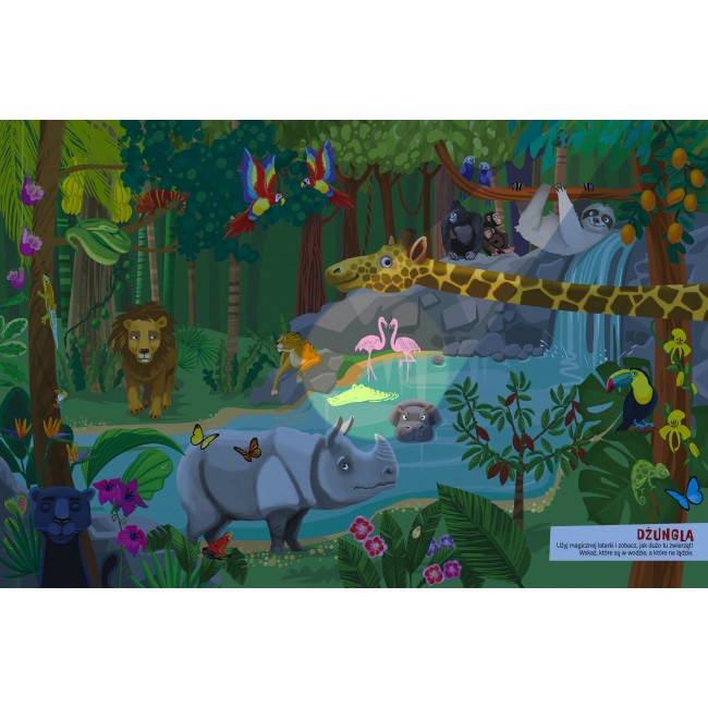 Książka "Odkrywaj świat z magiczną latarką" Wydawnictwo Jedność