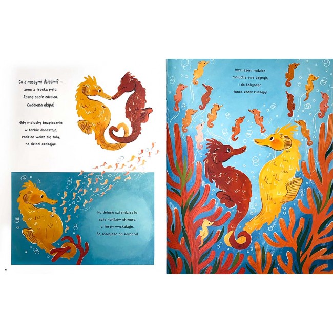 Książka "Cuda w morzu. Opowieści 5 minut przed snem" Wydawnictwo Harperkids