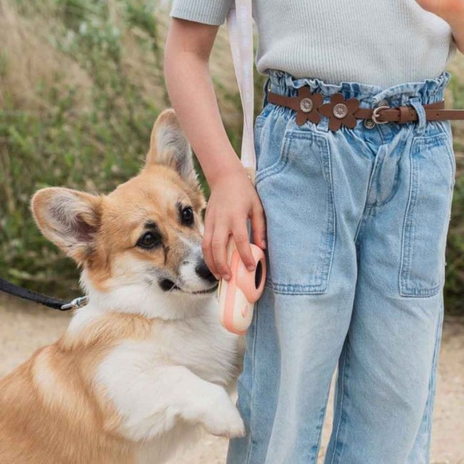 Walkie Talkie dla dzieci The Zoofamily - Dinozaur różowy i zielony